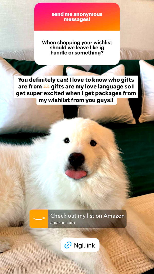 alisonbowles image ~ Altpins