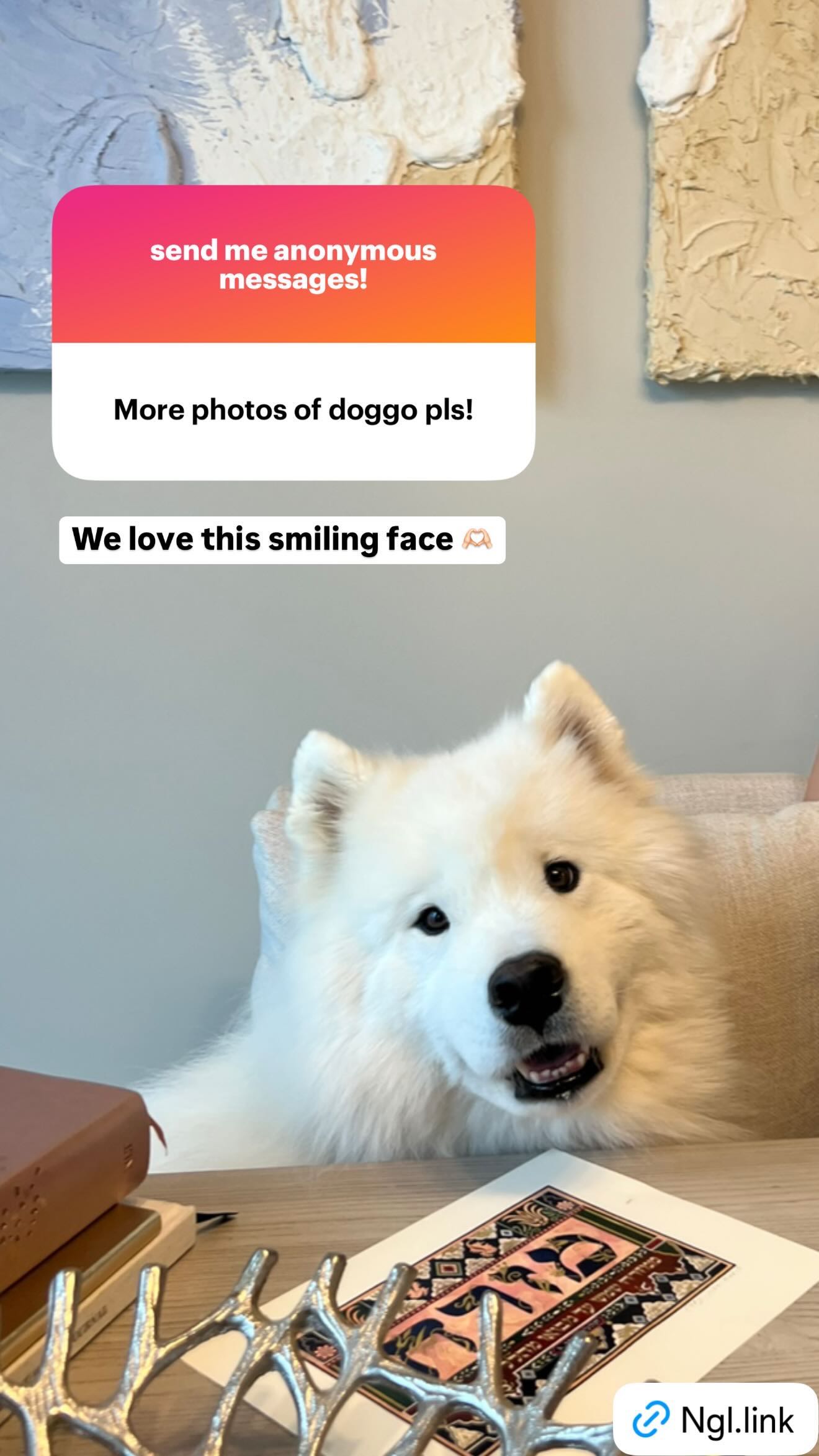 alisonbowles snapchat image archive image