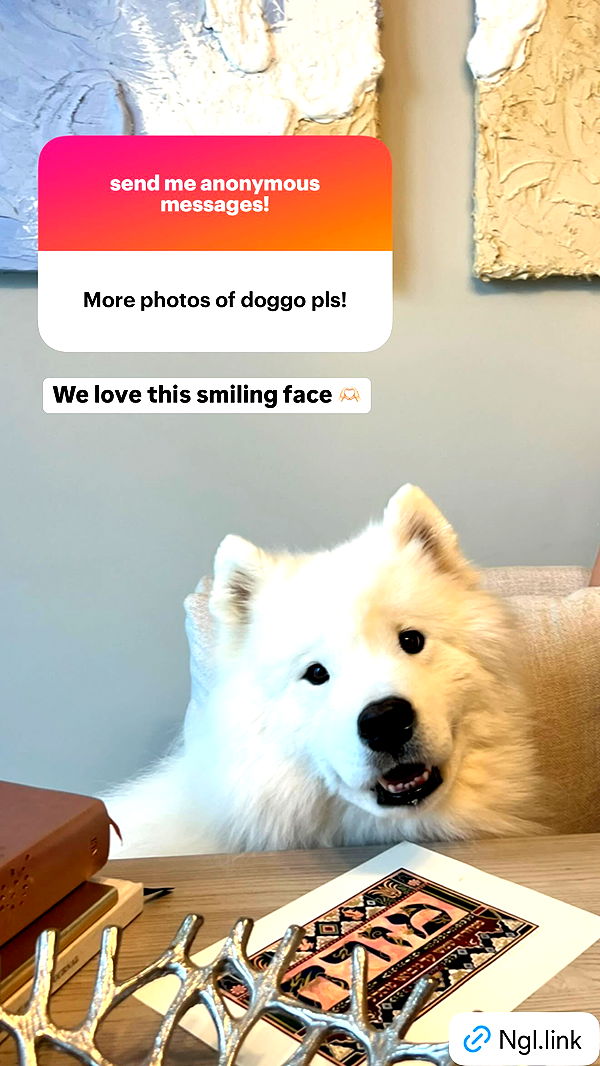 alisonbowles image ~ Altpins