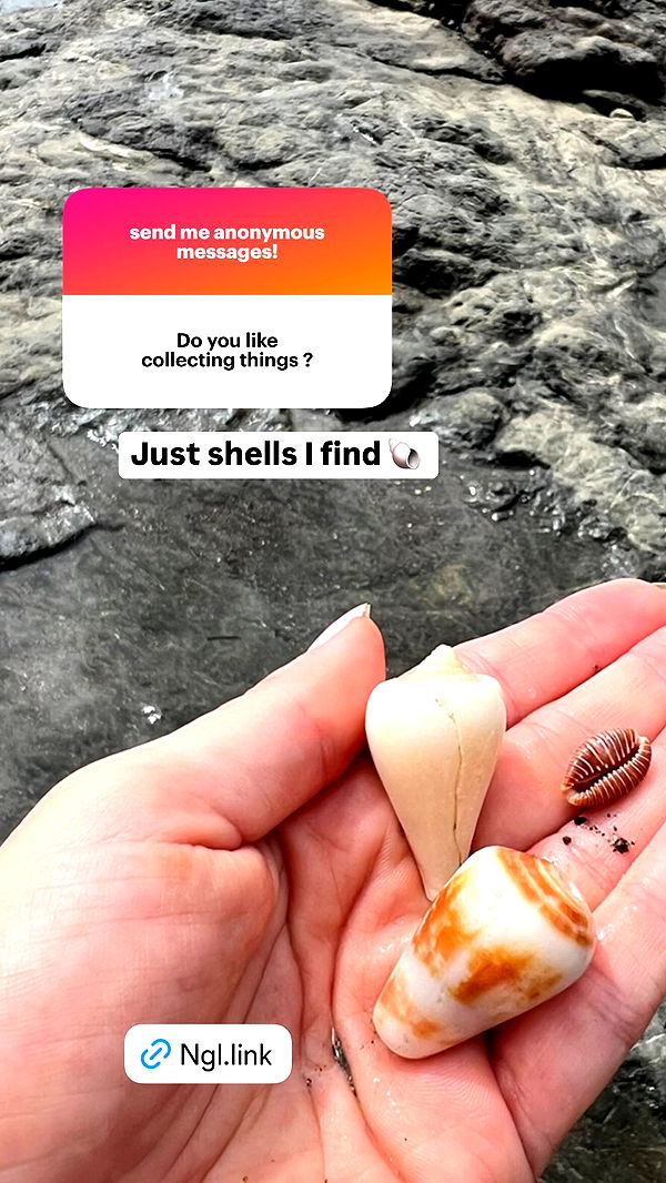 alisonbowles image ~ Altpins