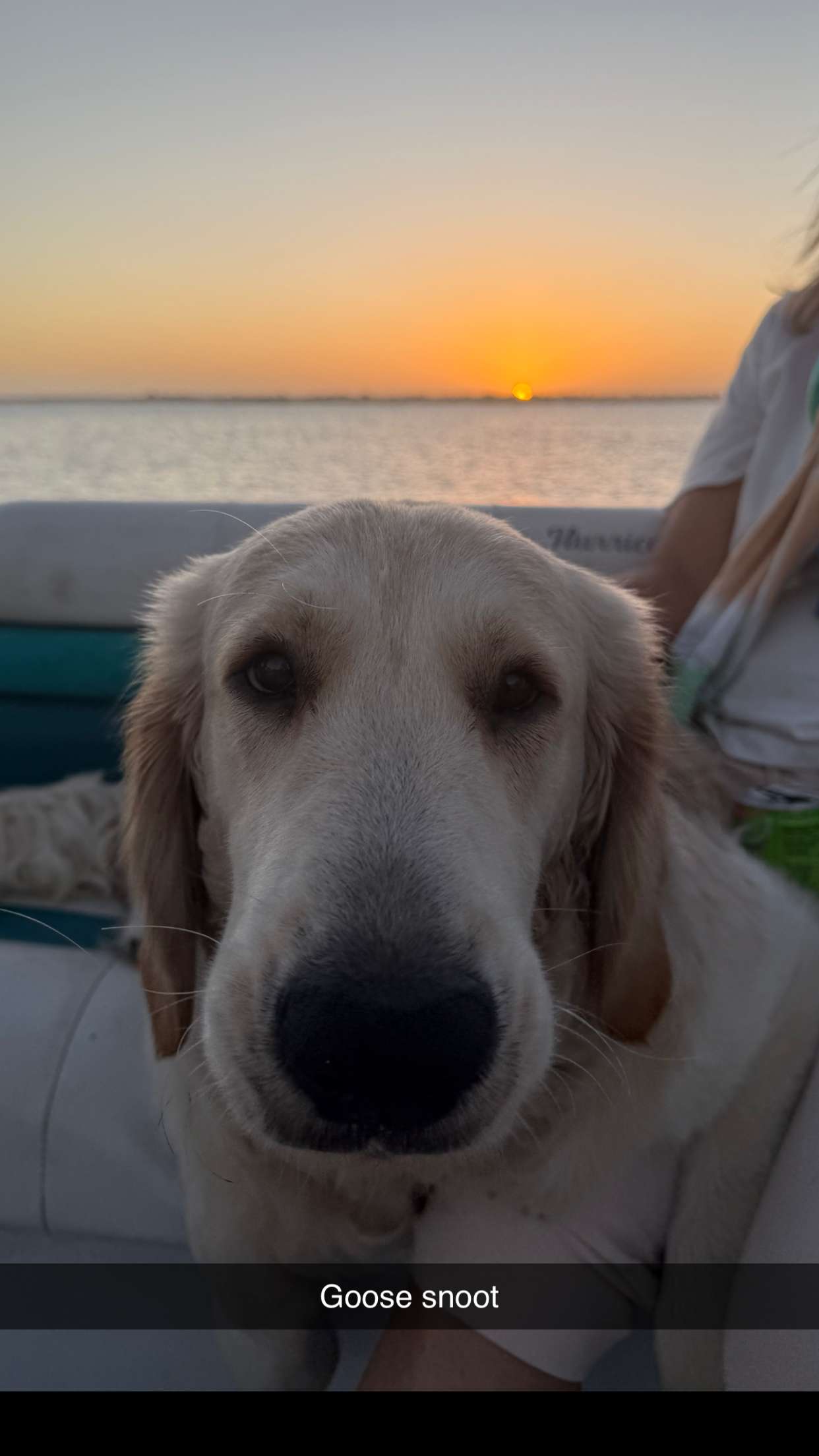 alisonbowles snapchat image archive image