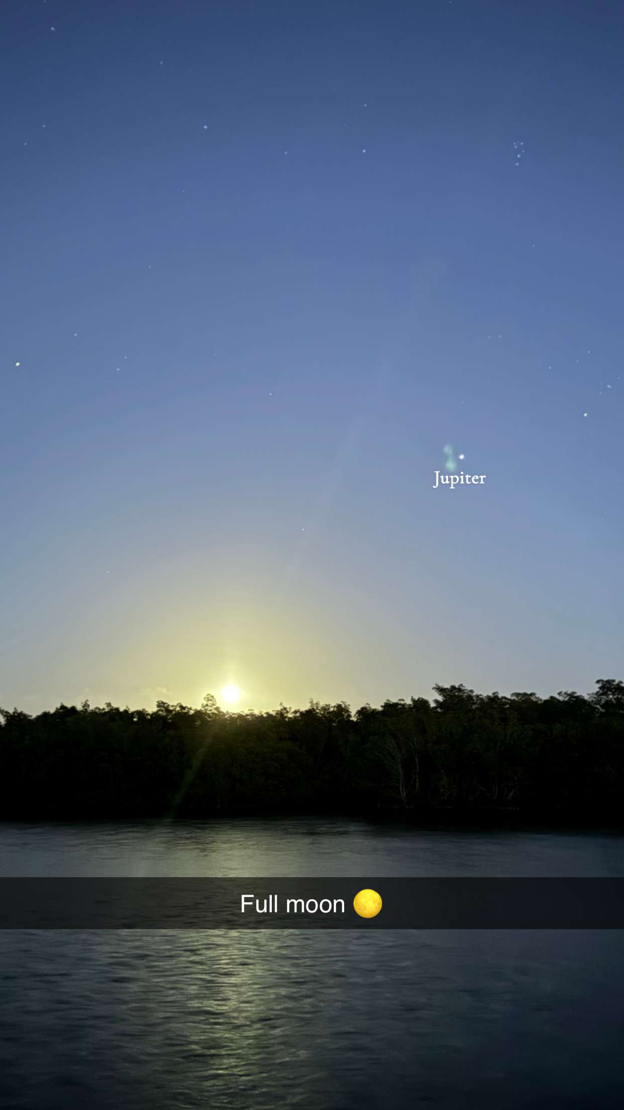 alisonbowles snapchat image archive image