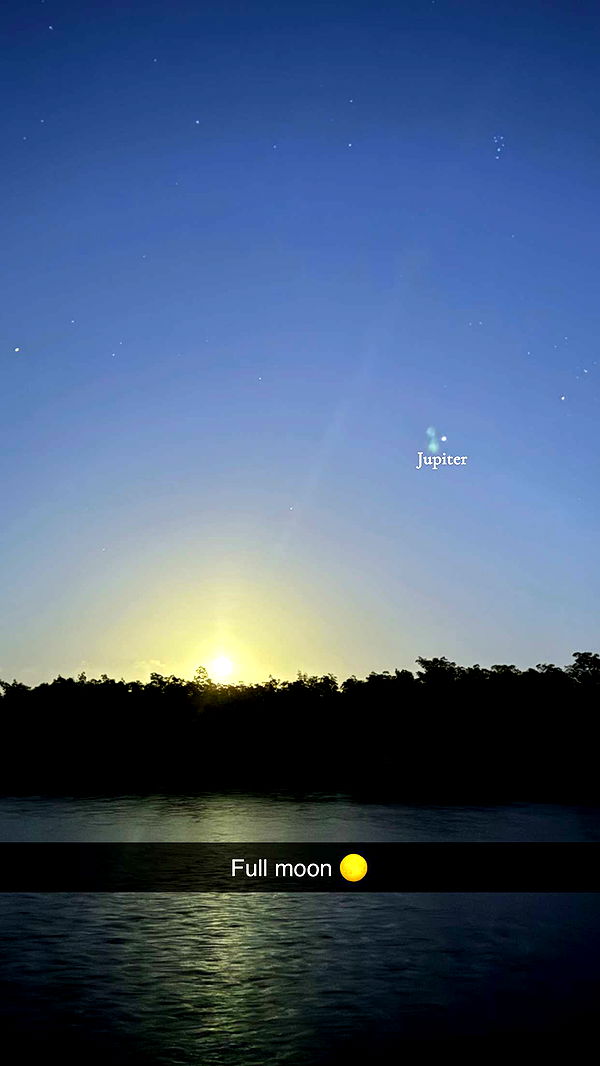 alisonbowles image ~ Altpins