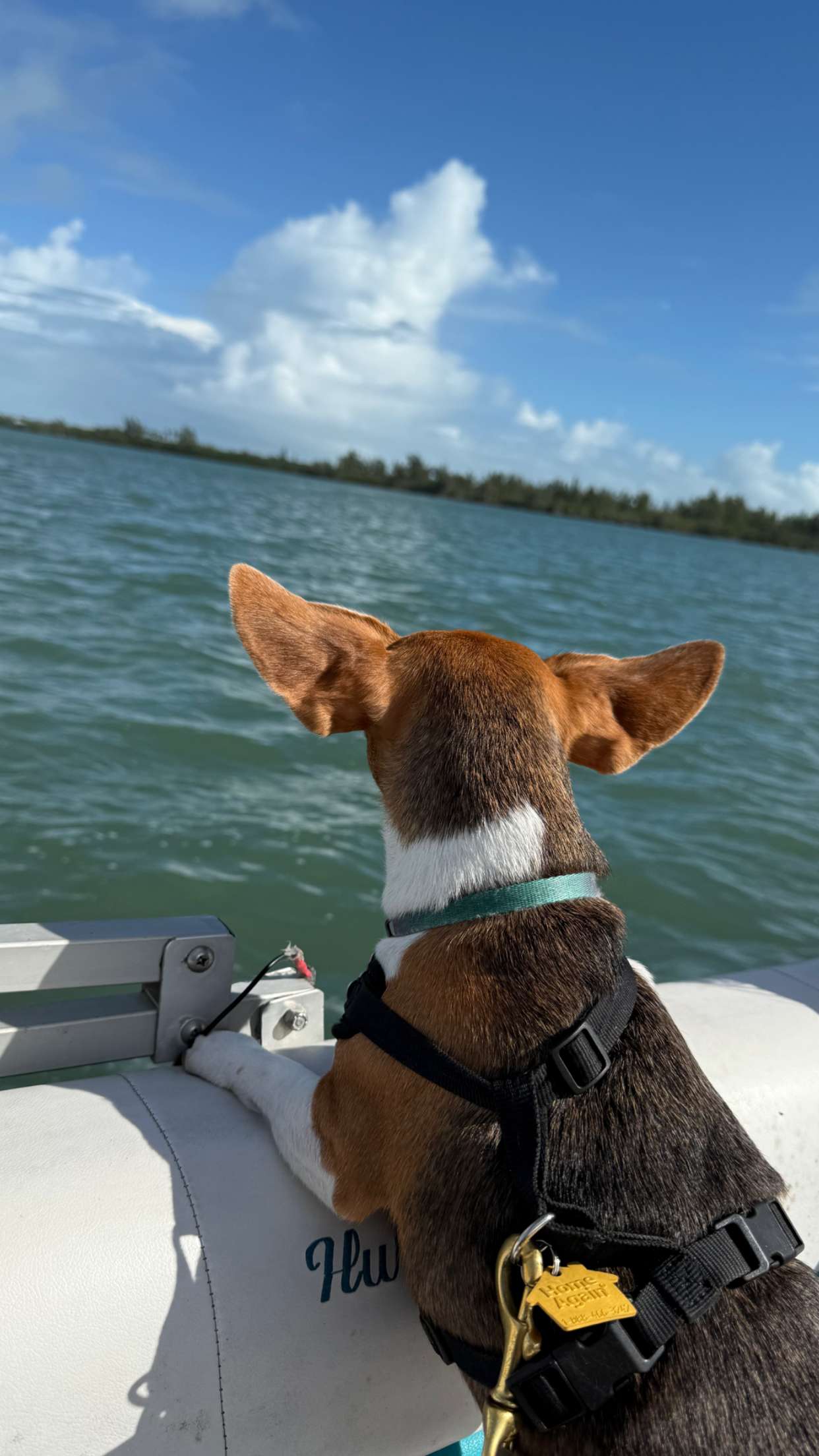 alisonbowles snapchat image archive image