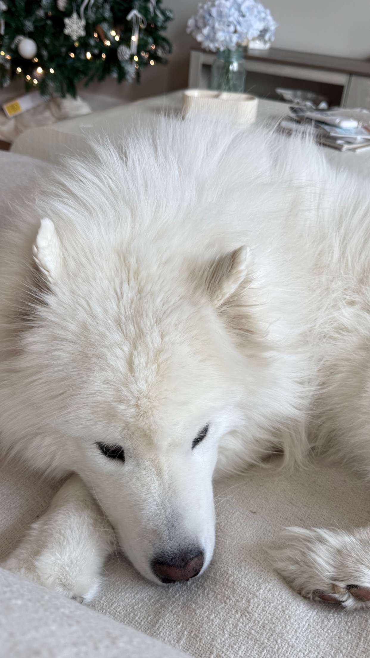 alisonbowles snapchat image archive image