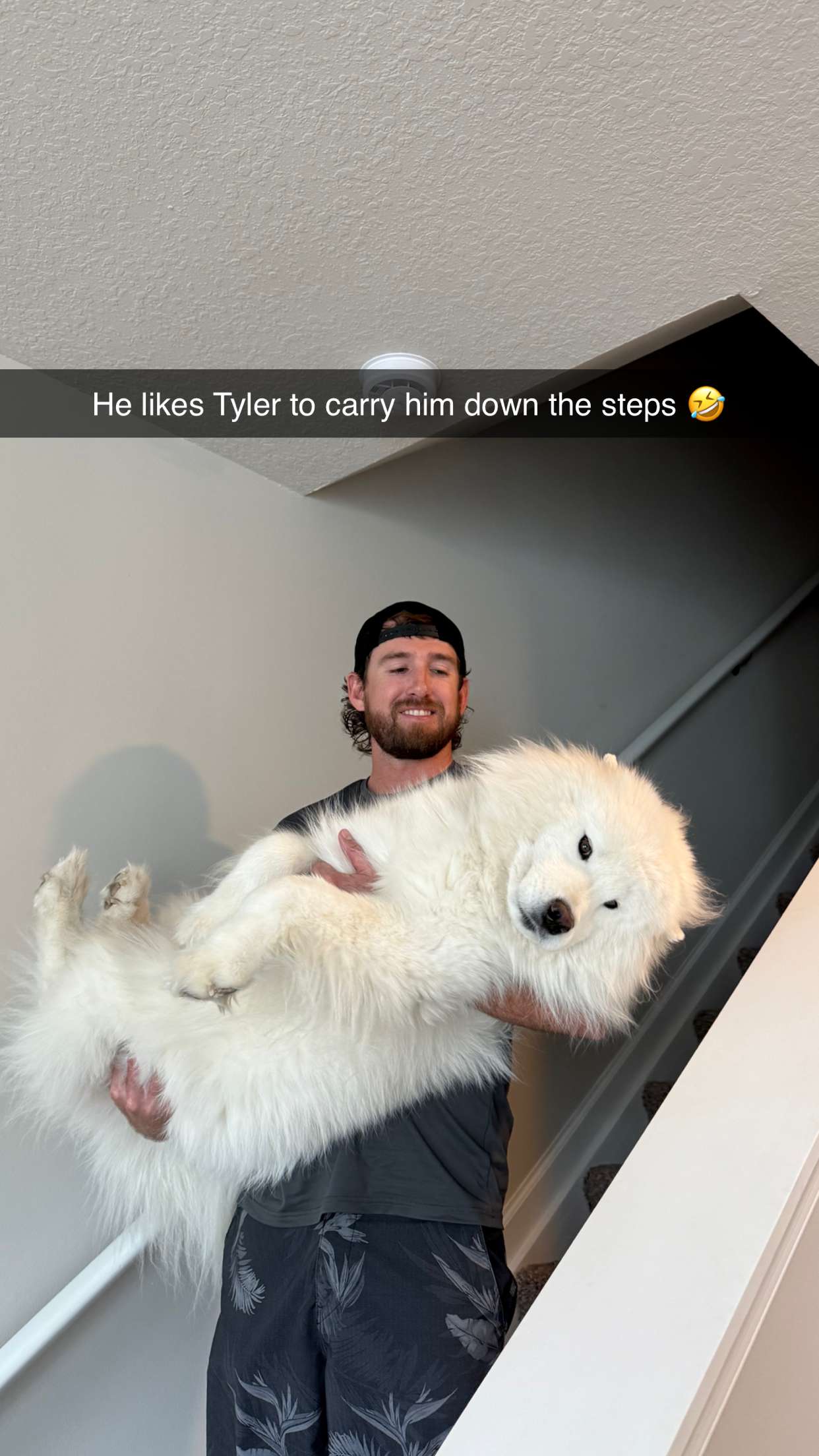 alisonbowles snapchat image archive image