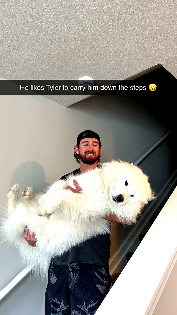 alisonbowles image ~ Altpins