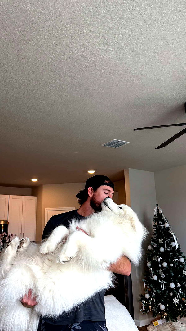 alisonbowles image ~ Altpins