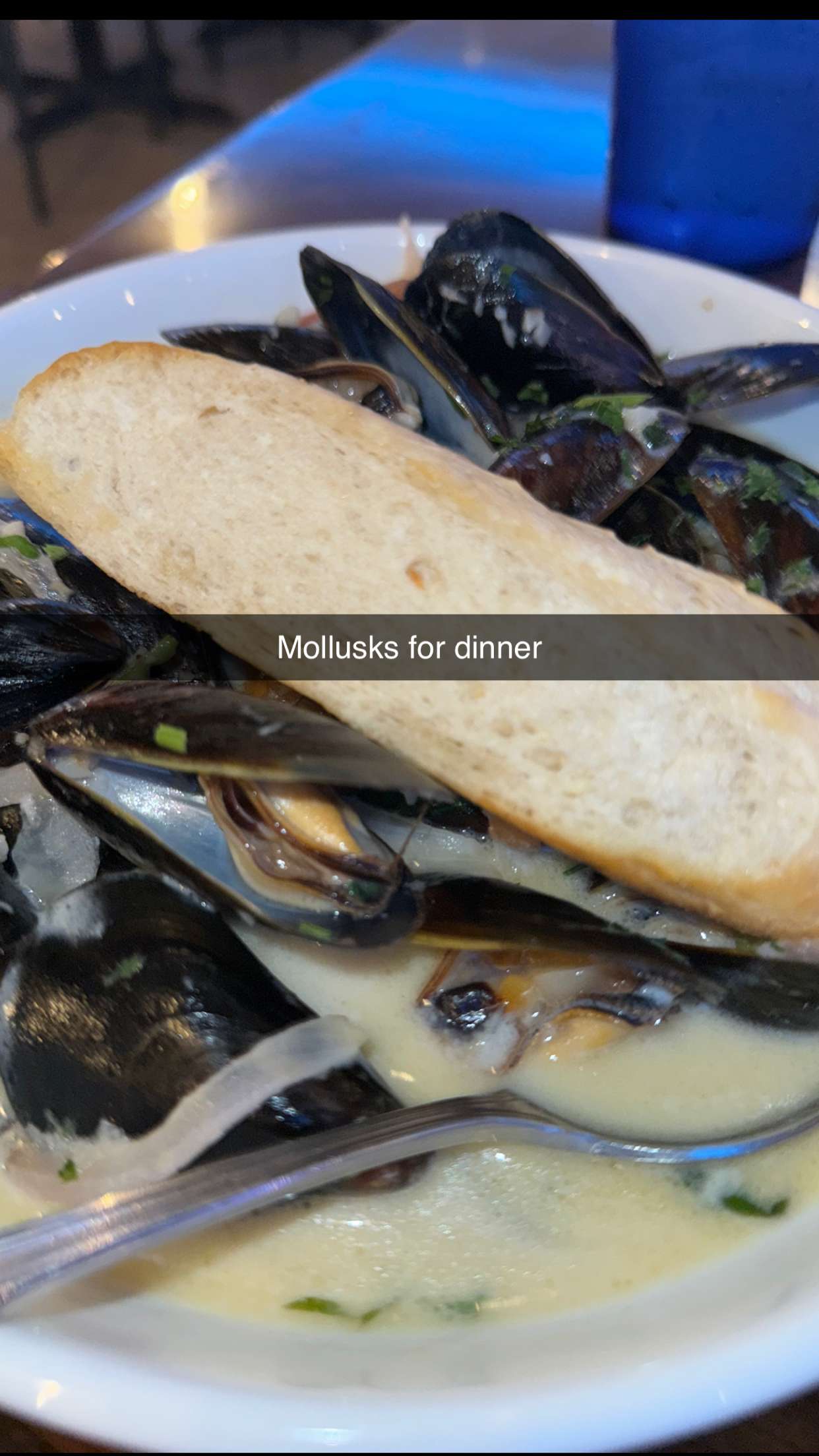 alisonbowles snapchat image archive image