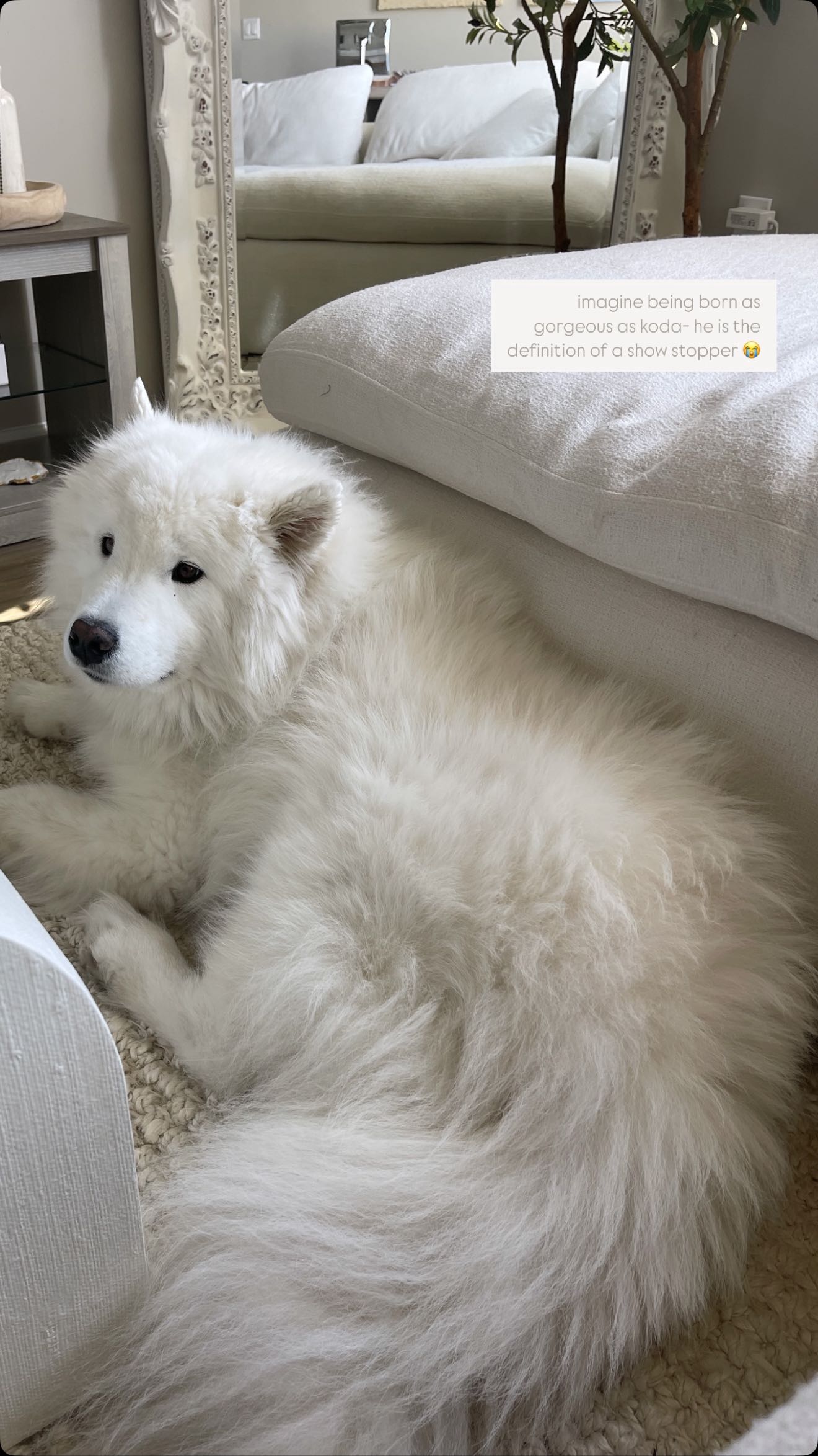 alisonbowles snapchat image archive image