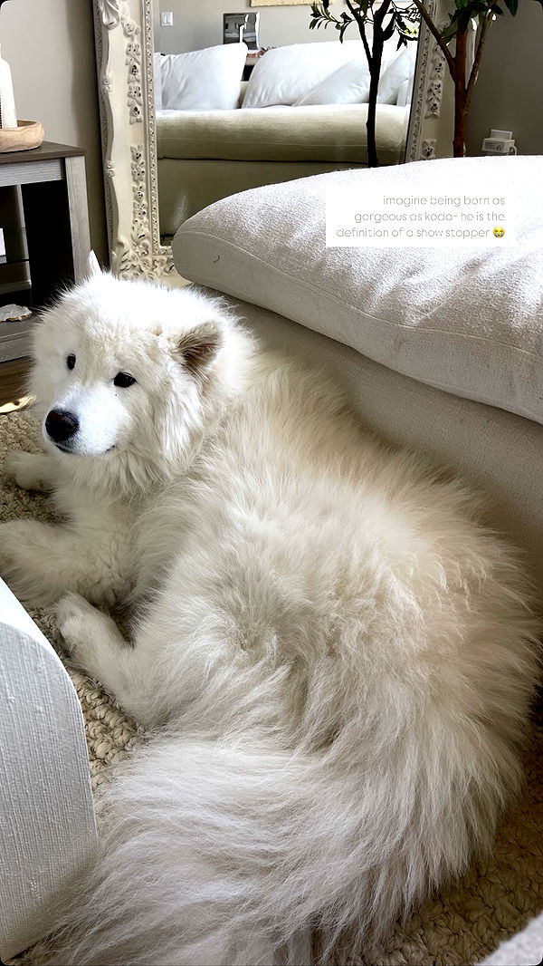 alisonbowles image ~ Altpins