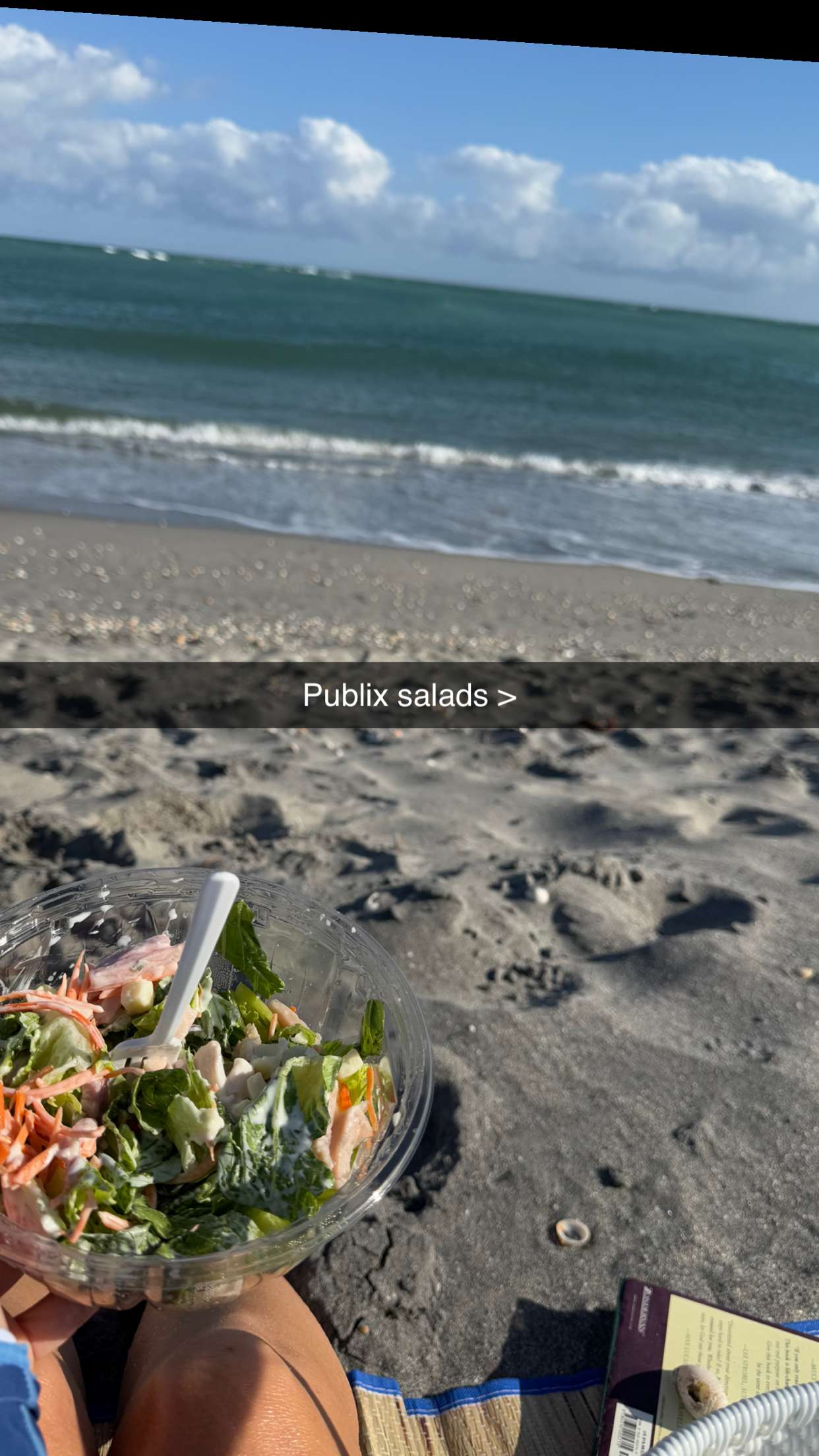 alisonbowles snapchat image archive image