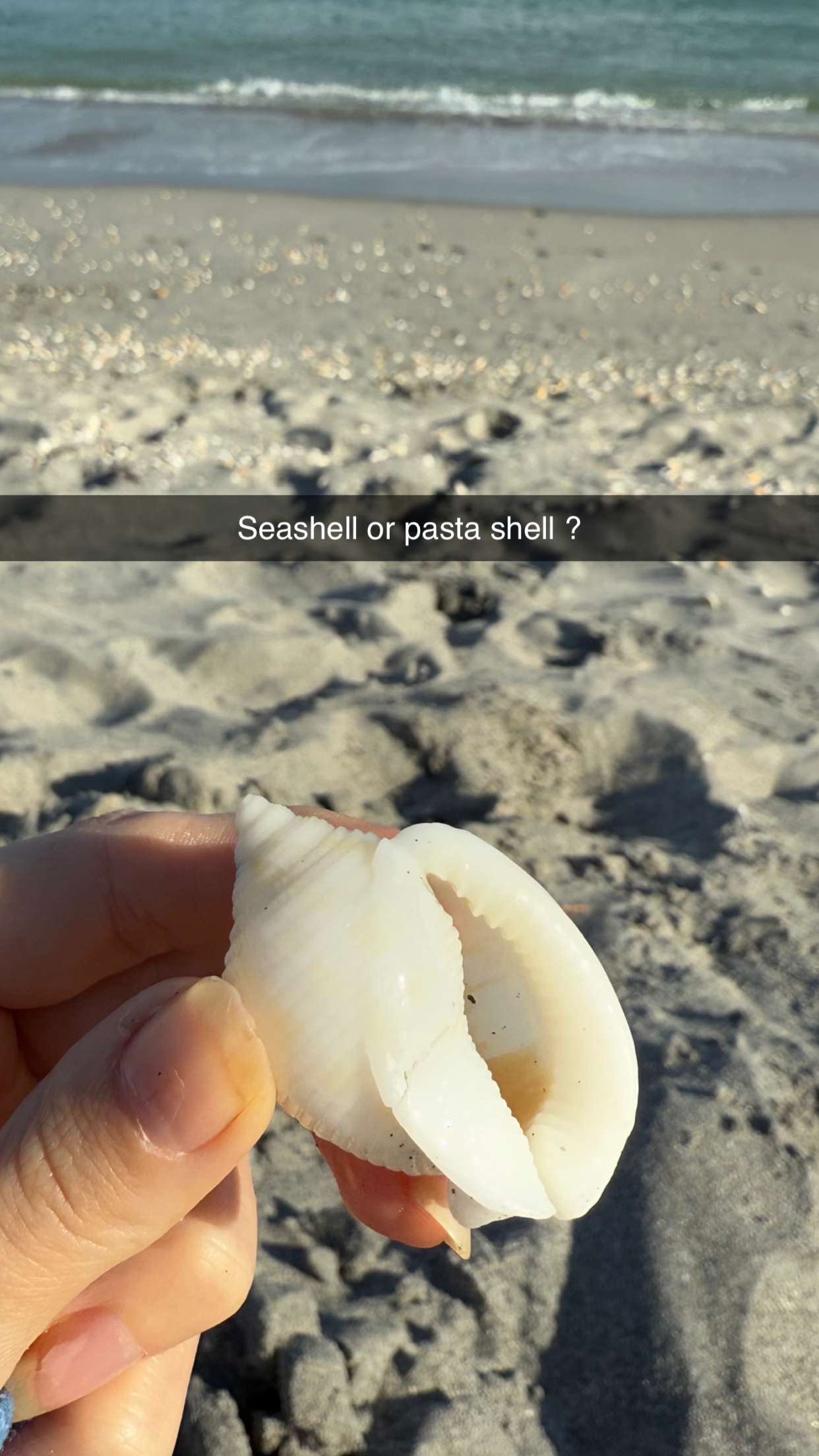 alisonbowles snapchat image archive image