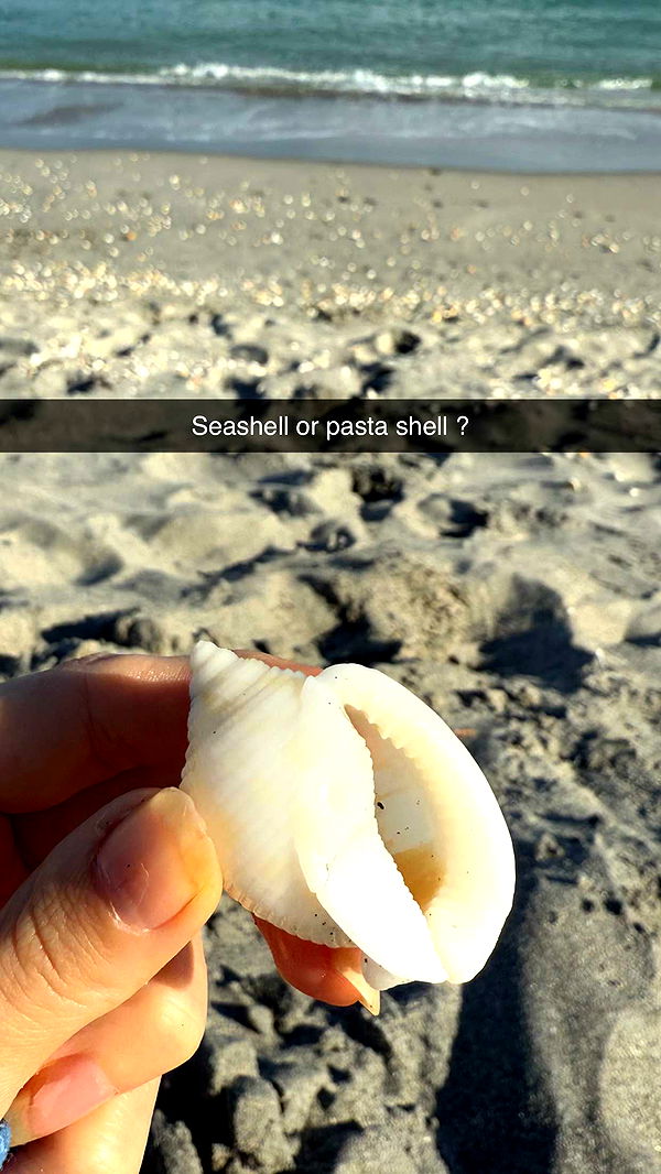 alisonbowles image ~ Altpins