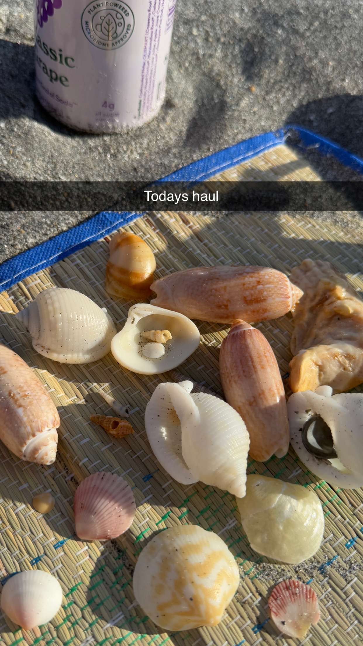 alisonbowles snapchat image archive image