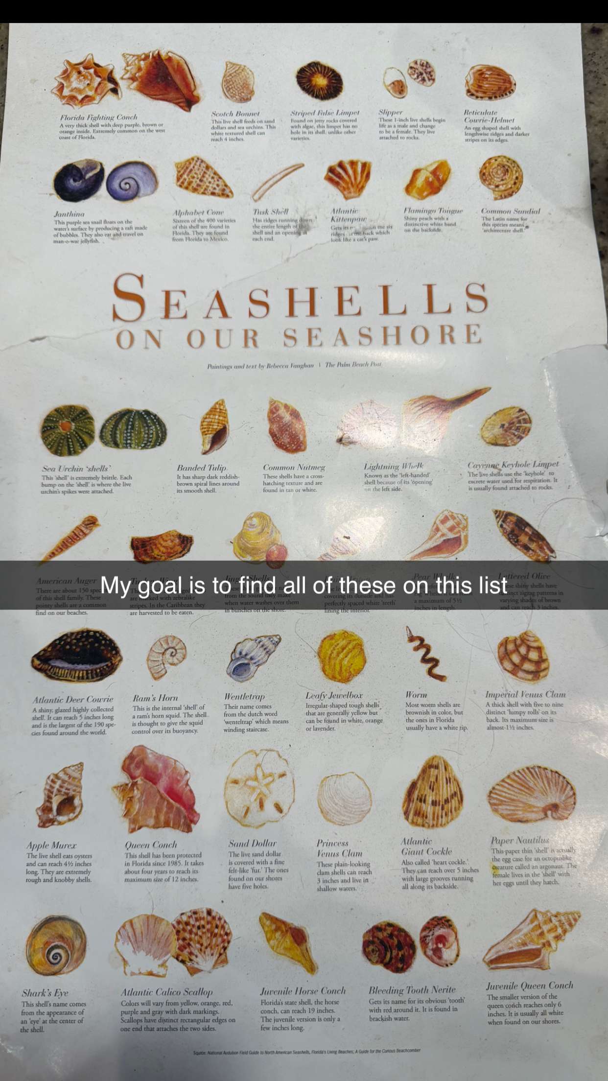 alisonbowles snapchat image archive image