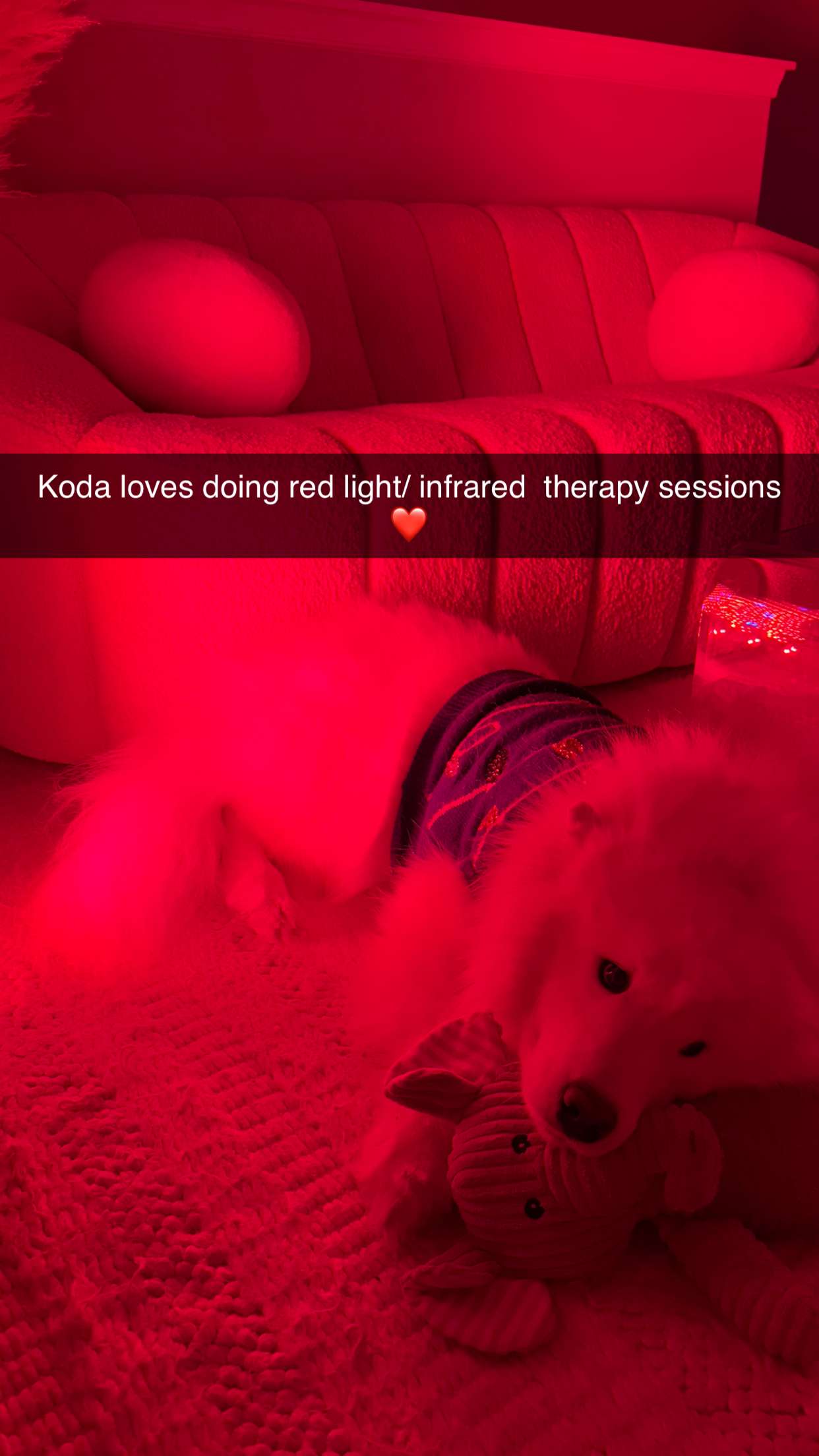 alisonbowles snapchat image archive image