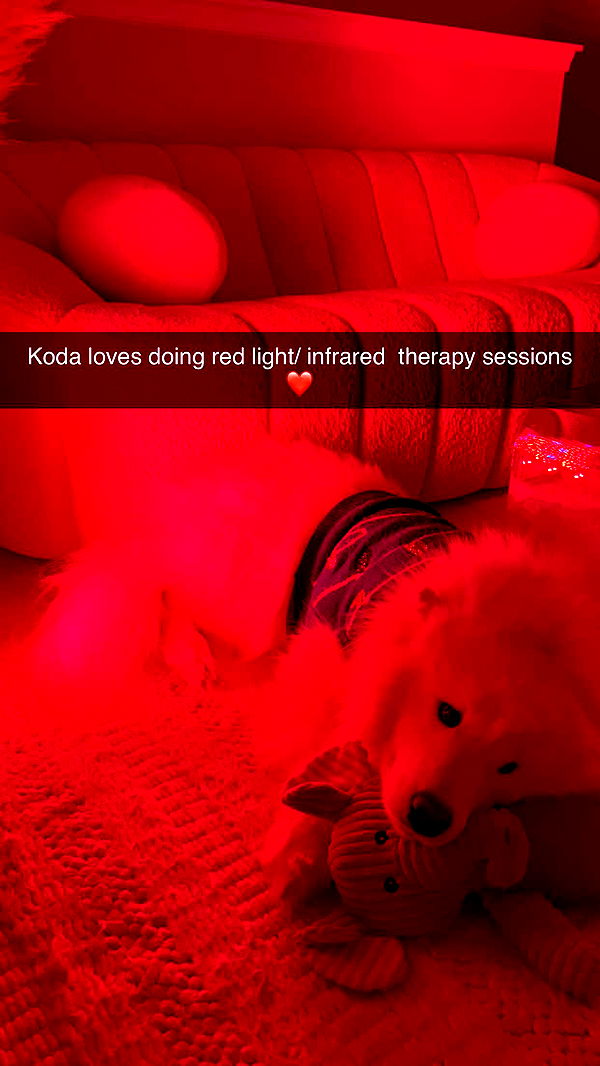 alisonbowles image ~ Altpins