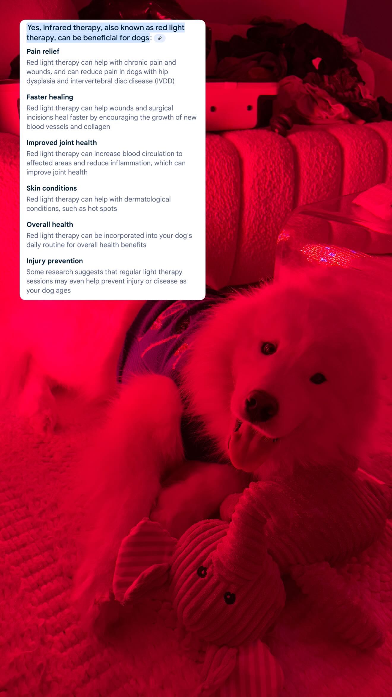 alisonbowles snapchat image archive image