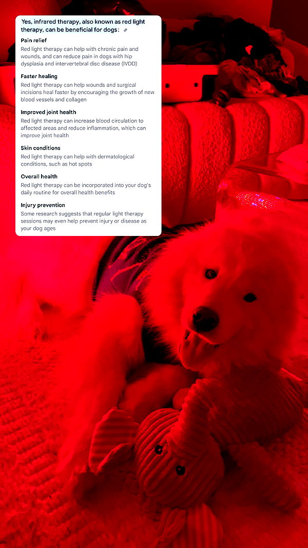 alisonbowles image ~ Altpins