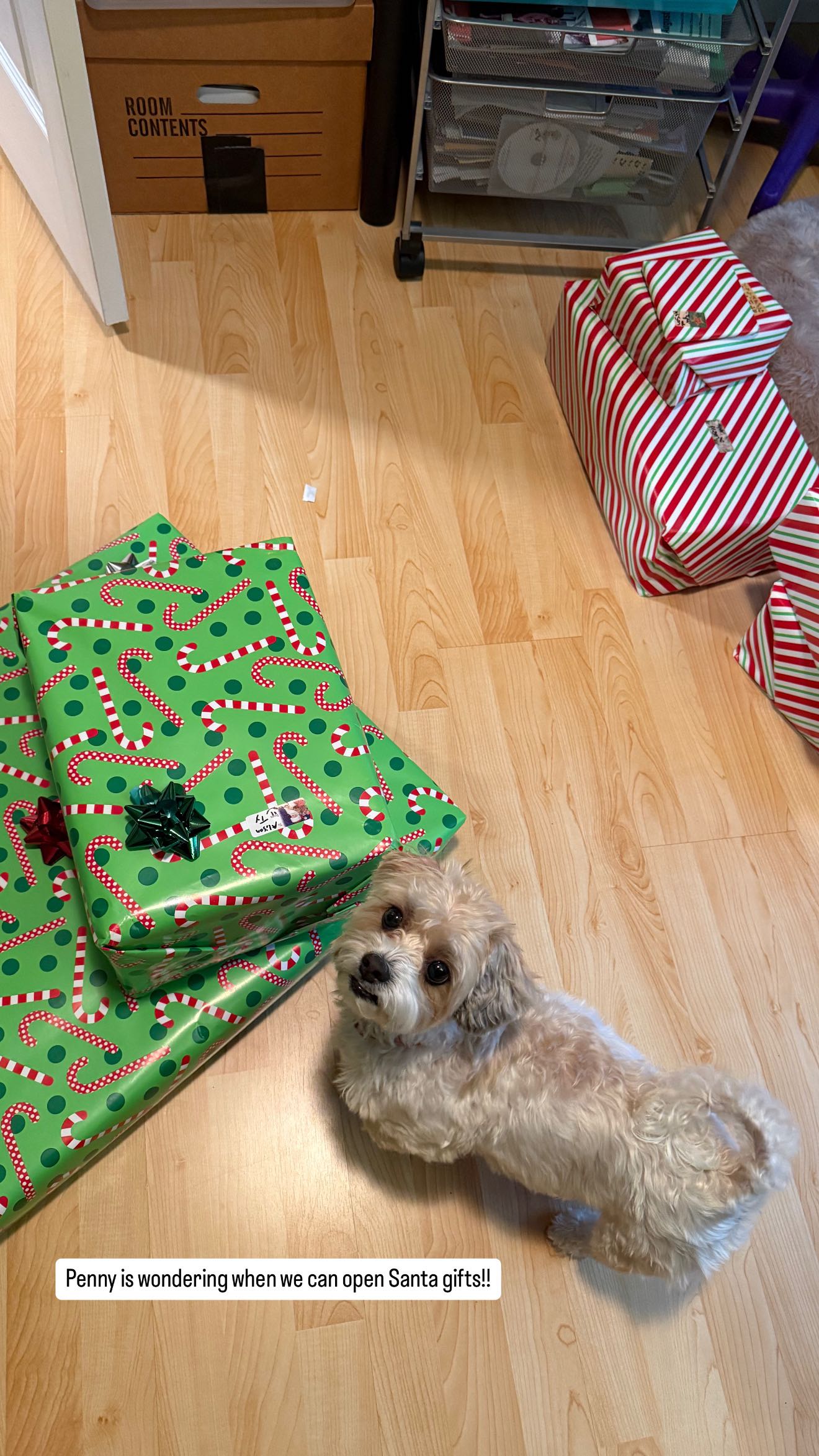 alisonbowles snapchat image archive image