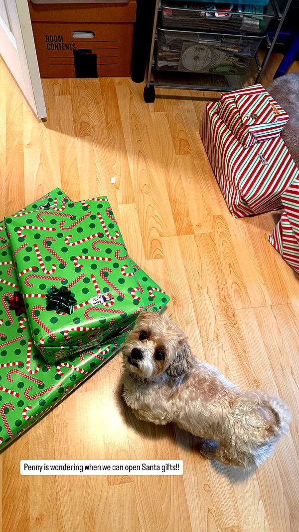 alisonbowles image ~ Altpins