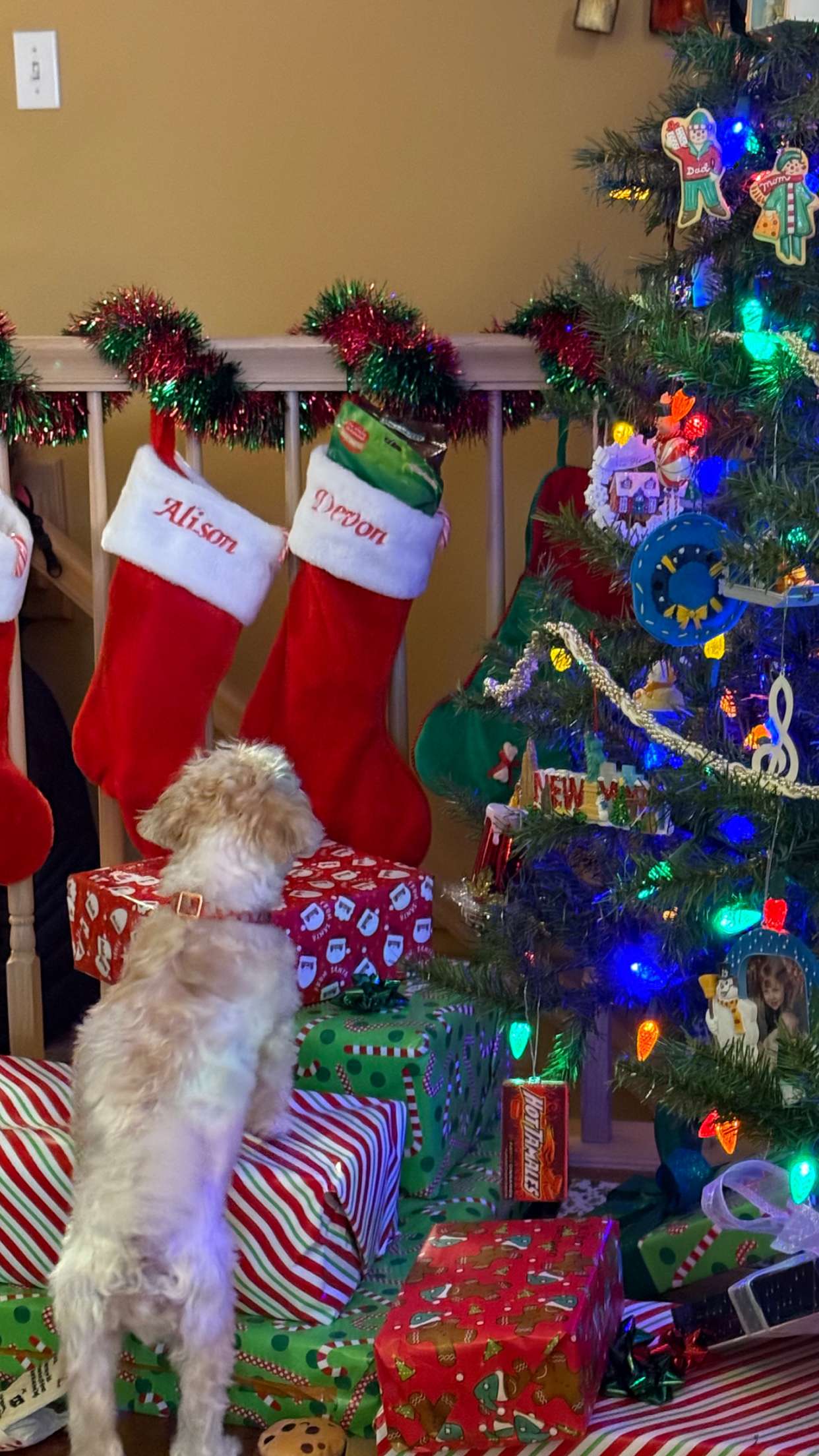 alisonbowles snapchat image archive image