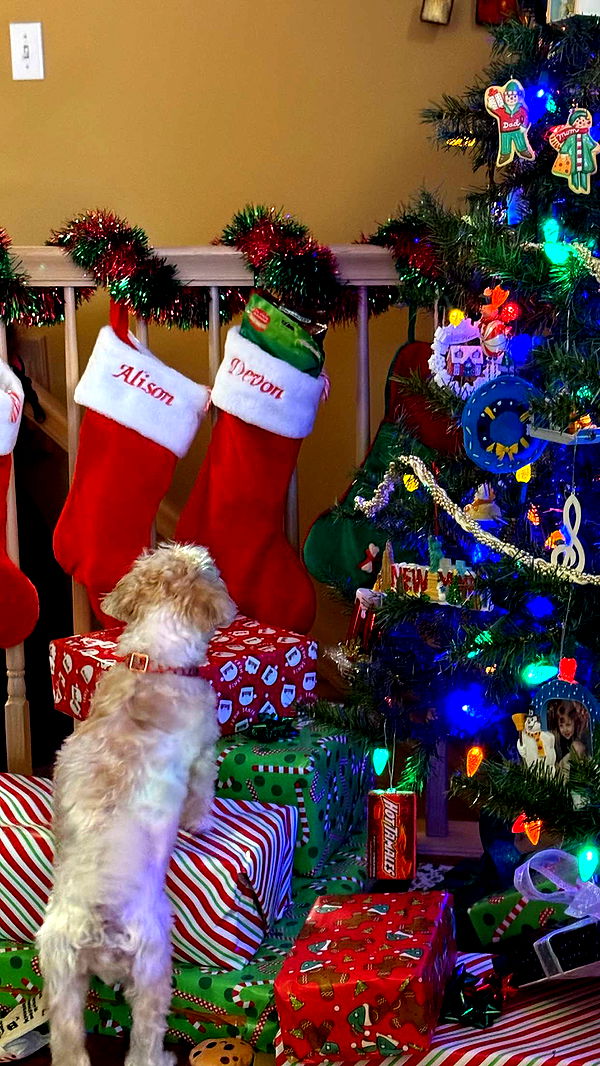 alisonbowles image ~ Altpins