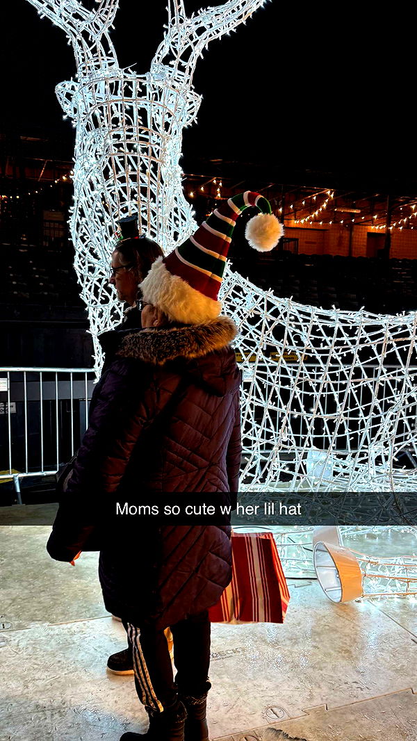 alisonbowles image ~ Altpins