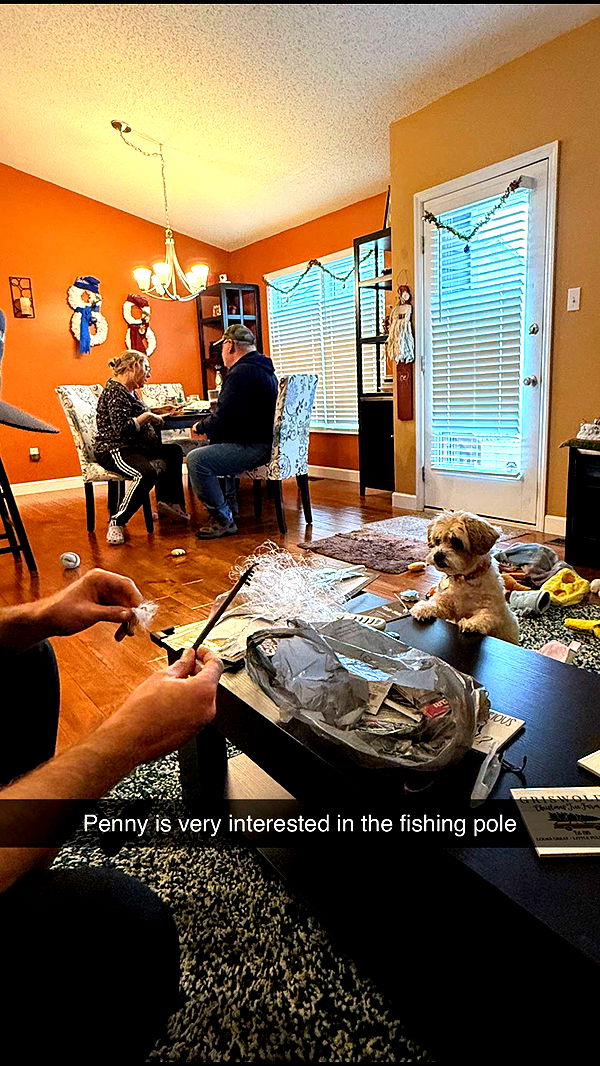 alisonbowles image ~ Altpins