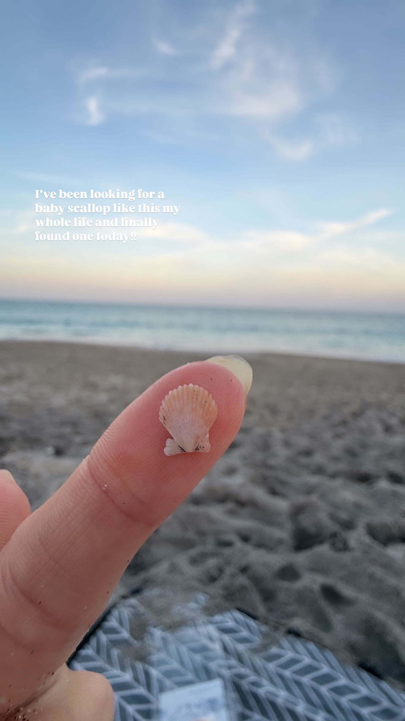 alisonbowles snapchat image archive image