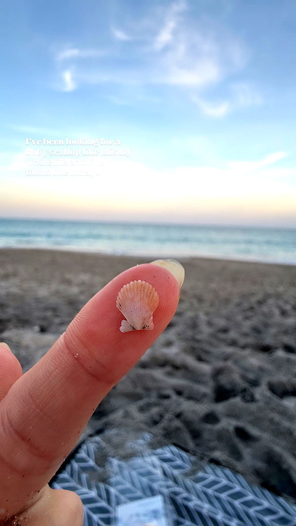 alisonbowles image ~ Altpins