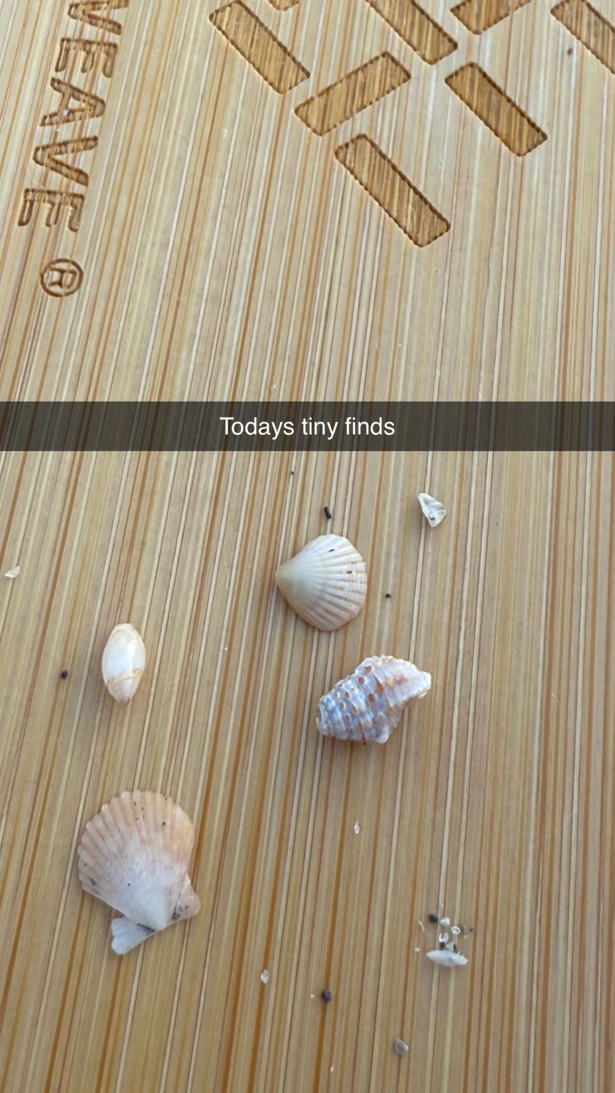 alisonbowles snapchat image archive image