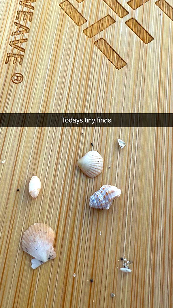 alisonbowles image ~ Altpins