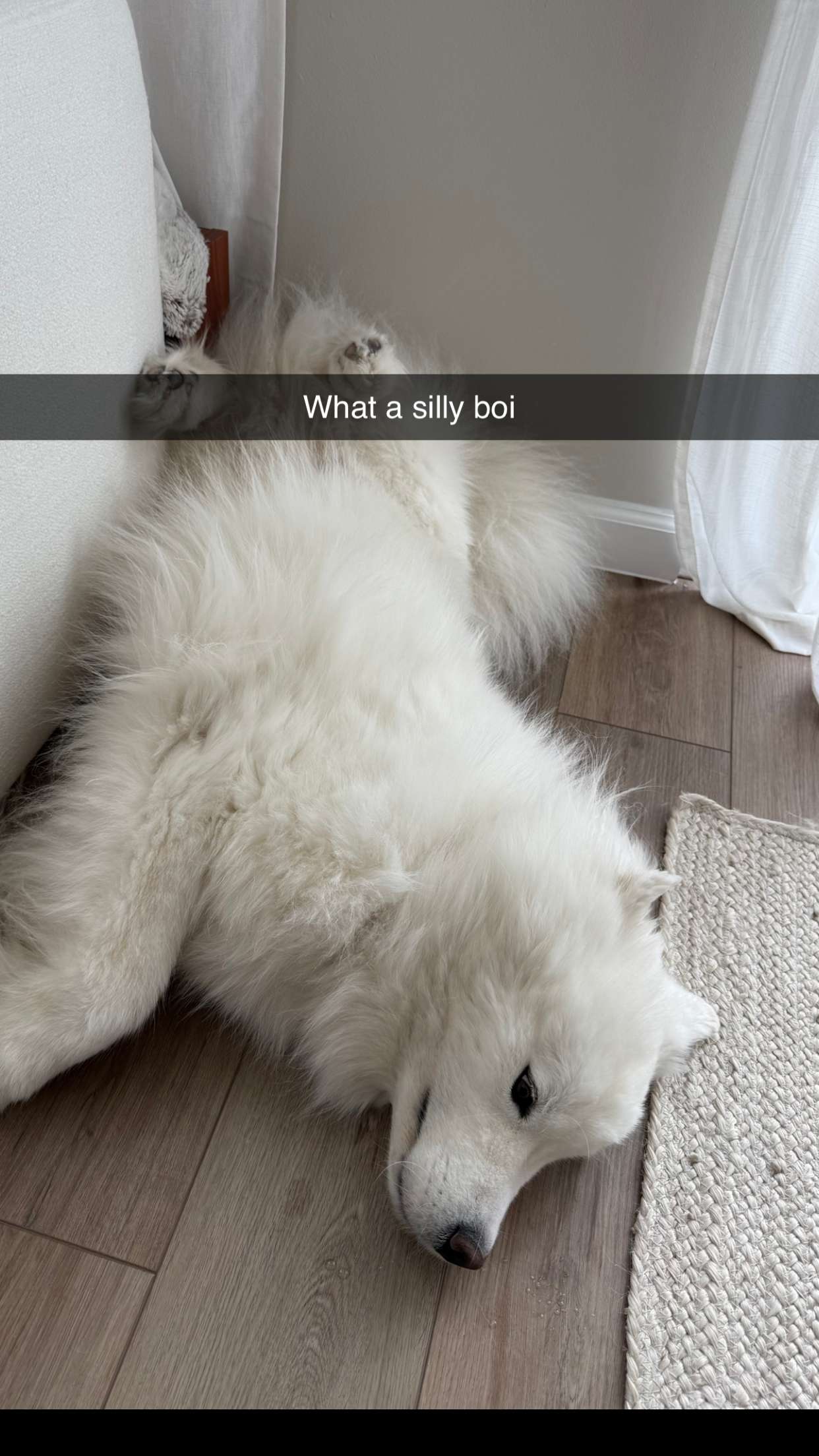 alisonbowles snapchat image archive image