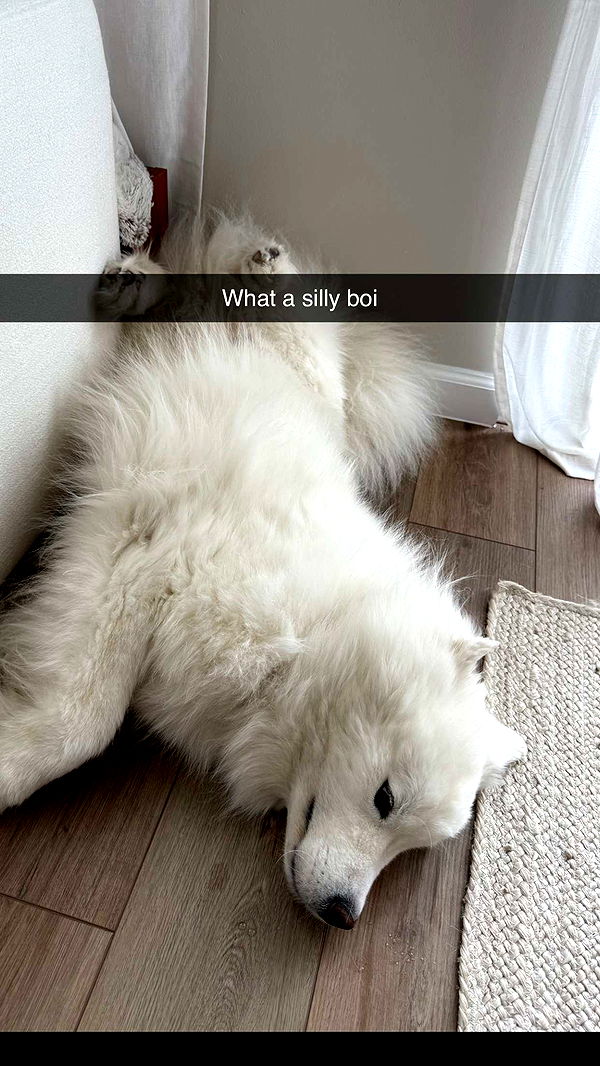 alisonbowles image ~ Altpins