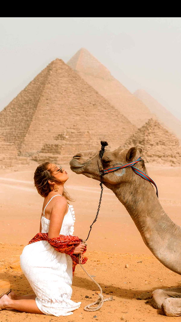 alisonbowles image ~ Altpins