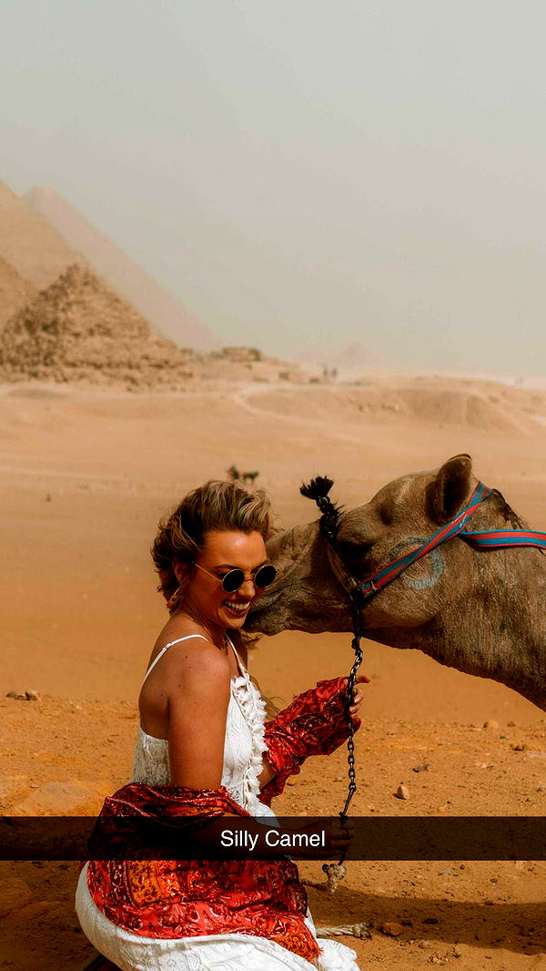 alisonbowles image ~ Altpins