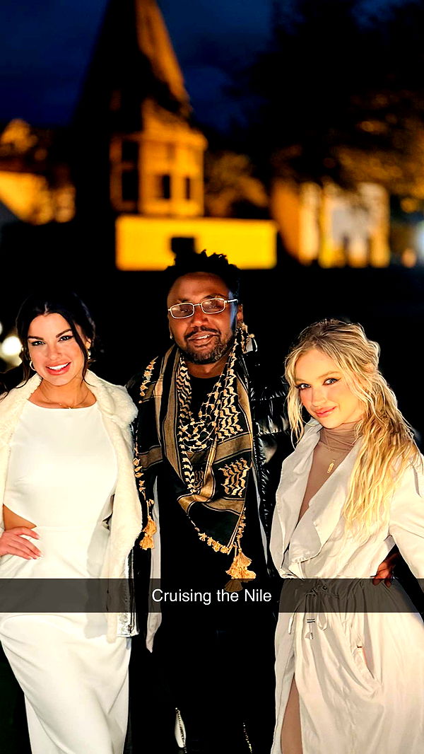 alisonbowles image ~ Altpins