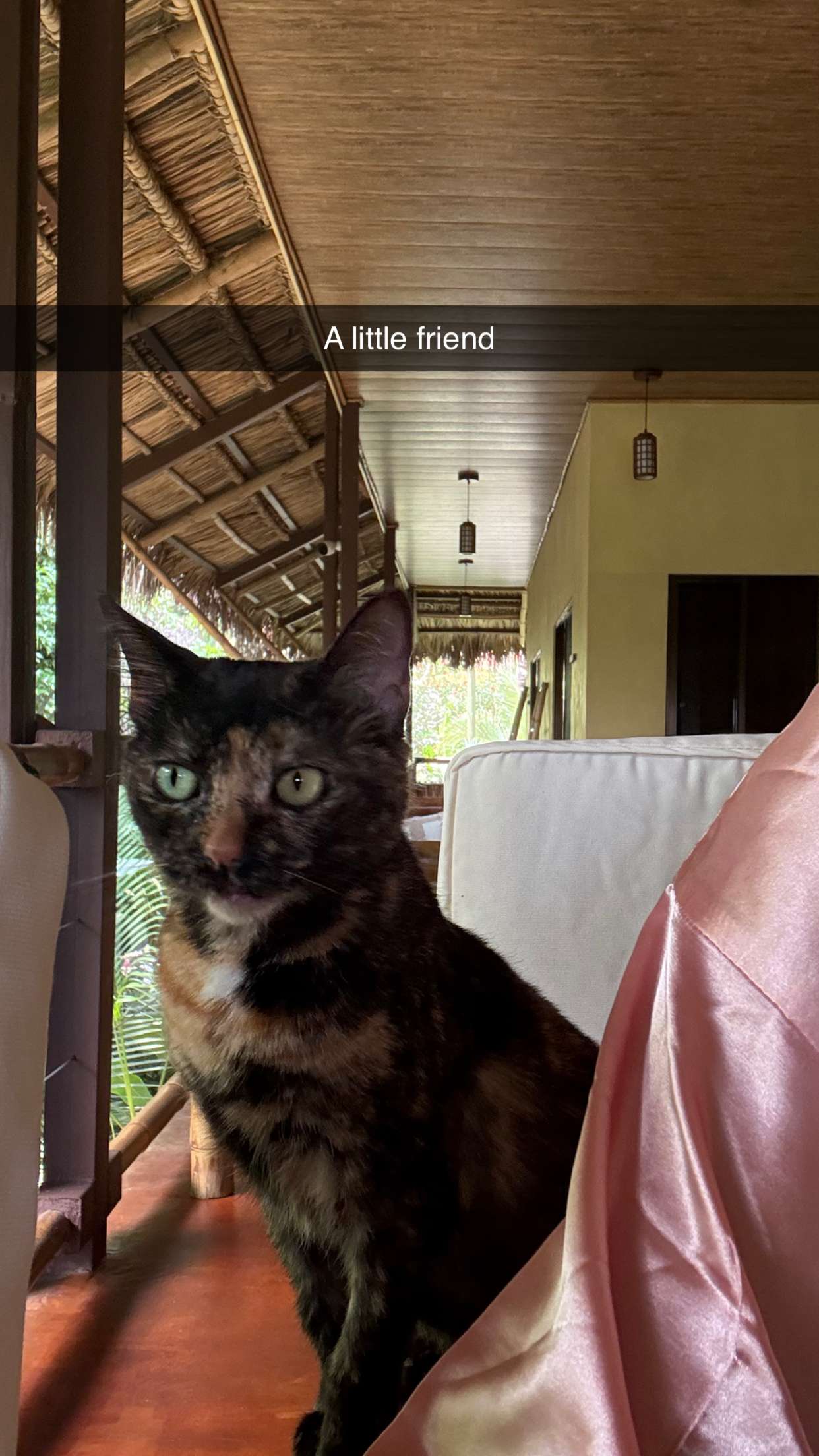 alisonbowles snapchat image archive image