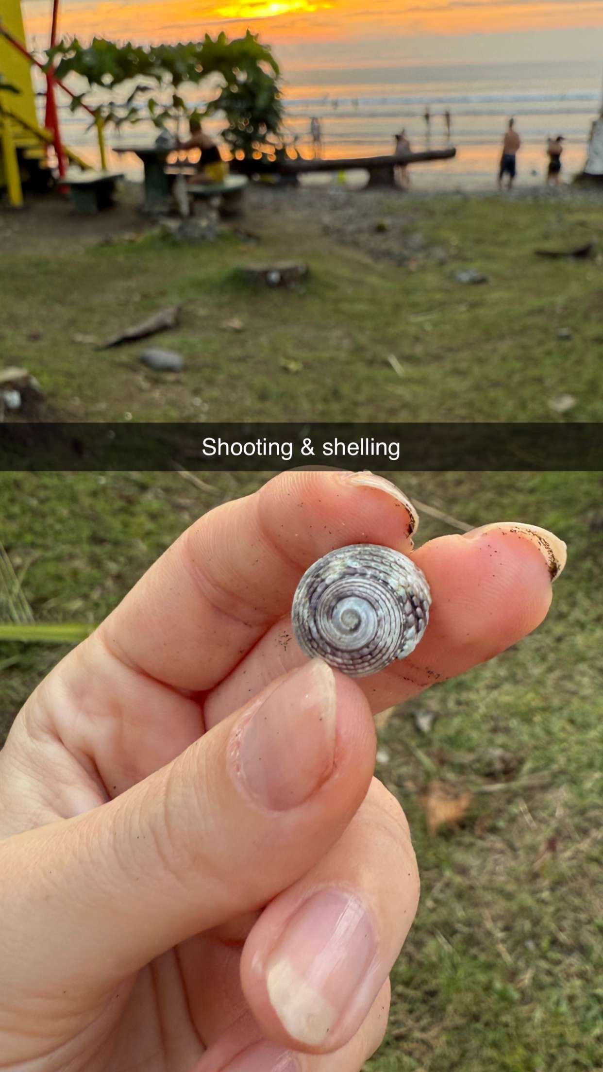 alisonbowles snapchat image archive image