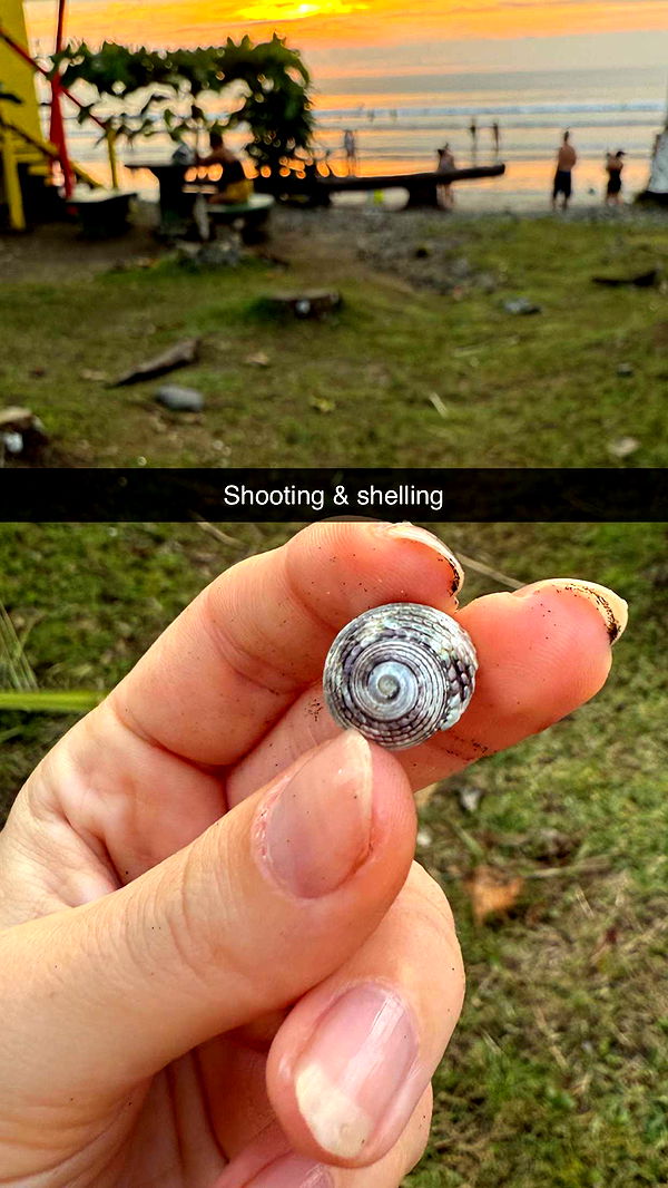 alisonbowles image ~ Altpins