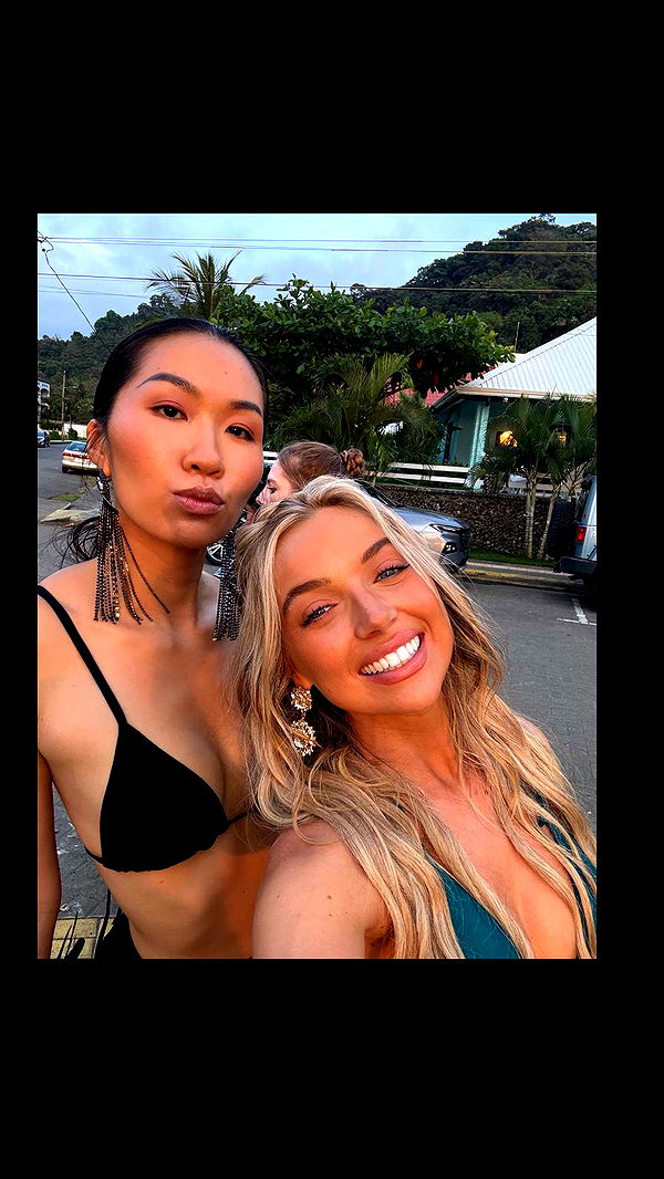 alisonbowles image ~ Altpins