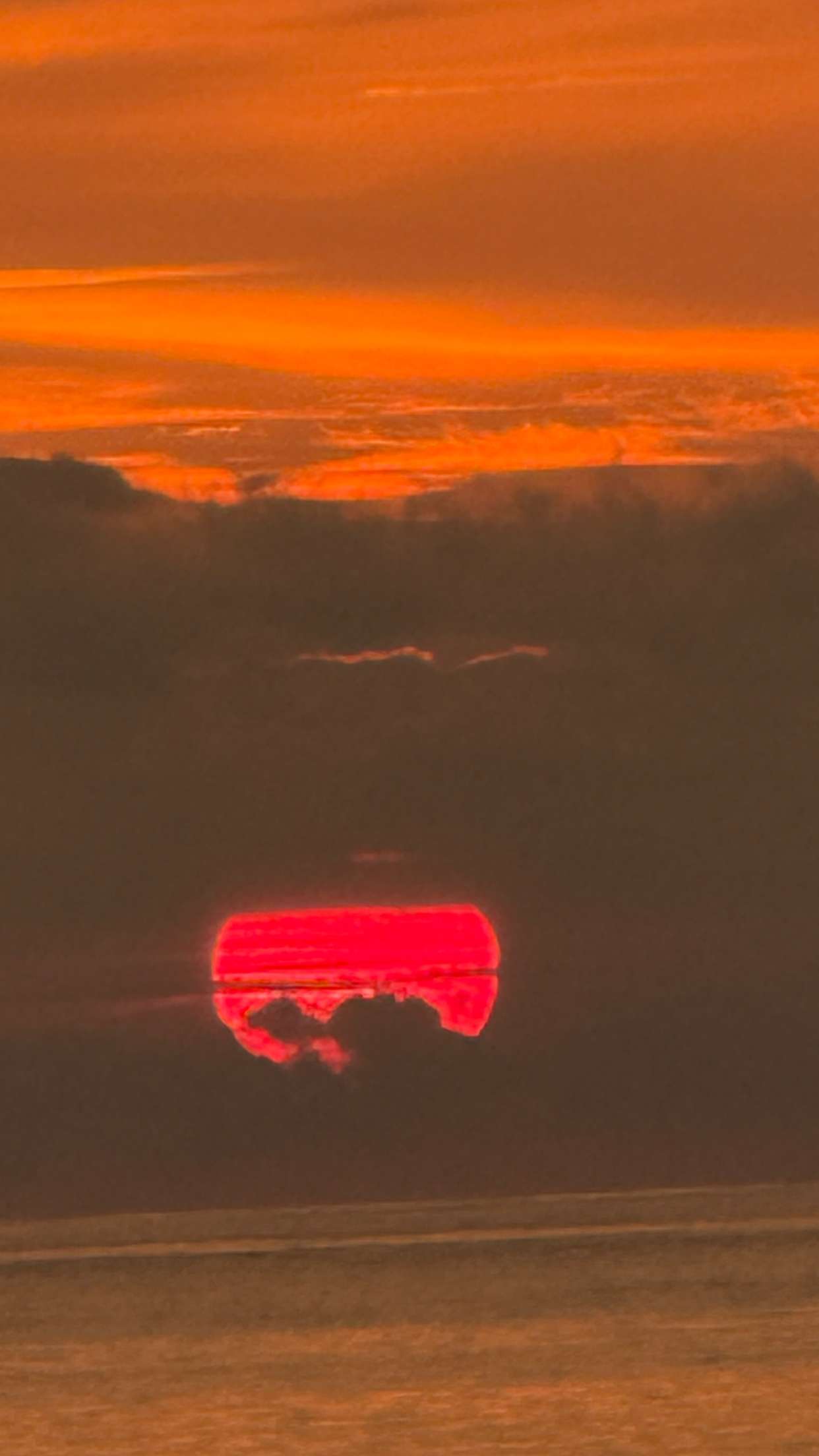 alisonbowles snapchat image archive image