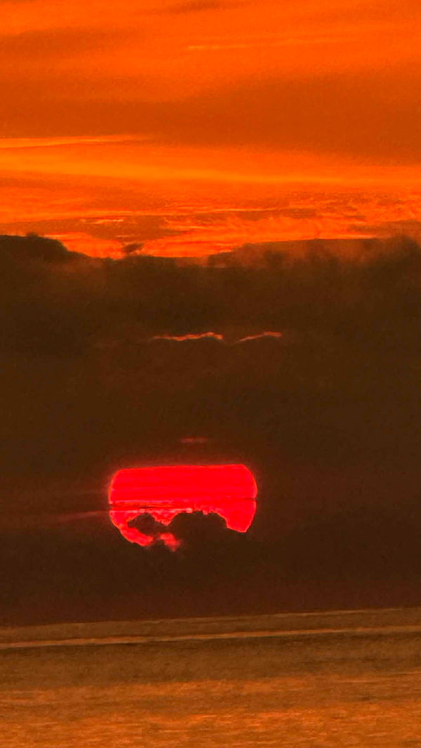 alisonbowles image ~ Altpins