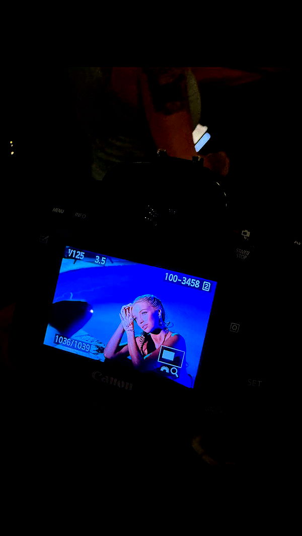 alisonbowles image ~ Altpins