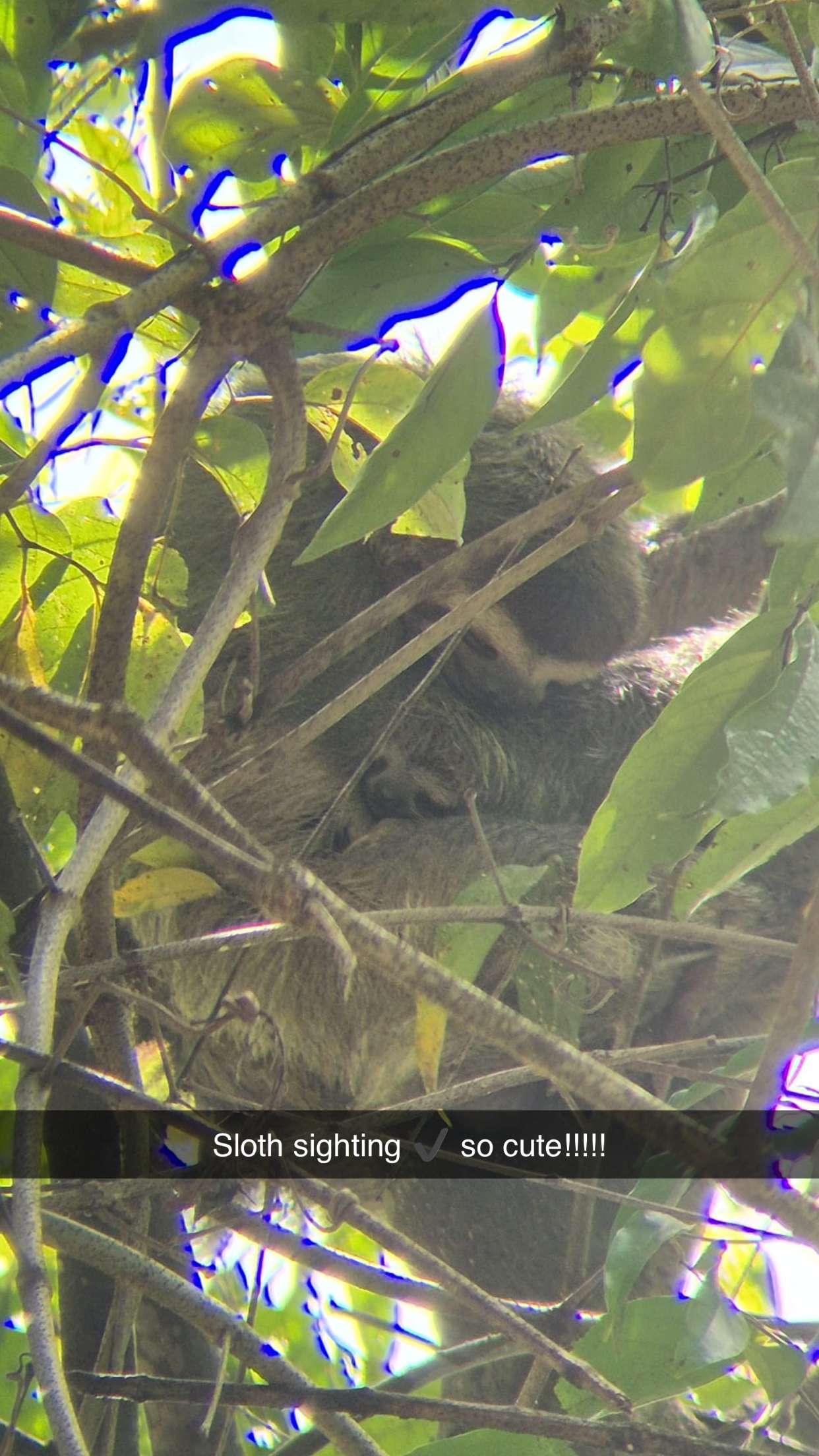 alisonbowles snapchat image archive image