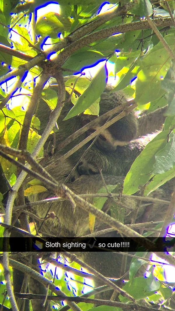 alisonbowles image ~ Altpins