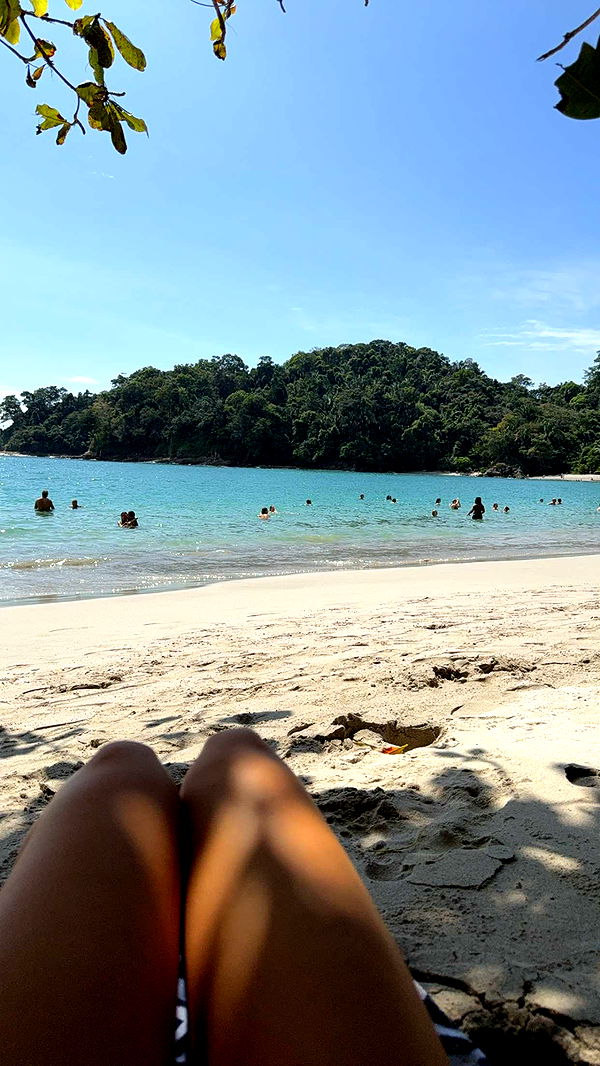 alisonbowles image ~ Altpins