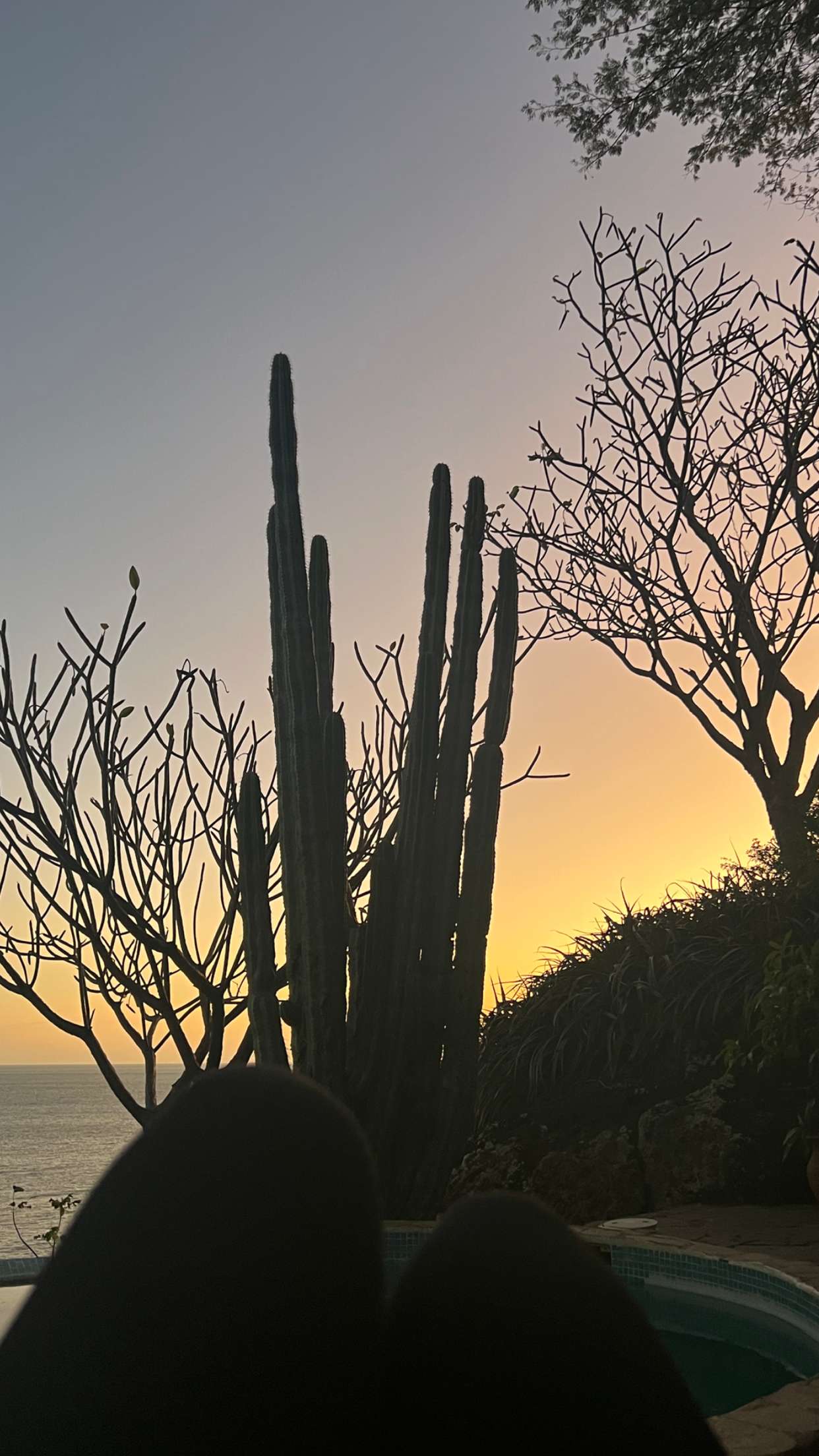 alisonbowles snapchat image archive image